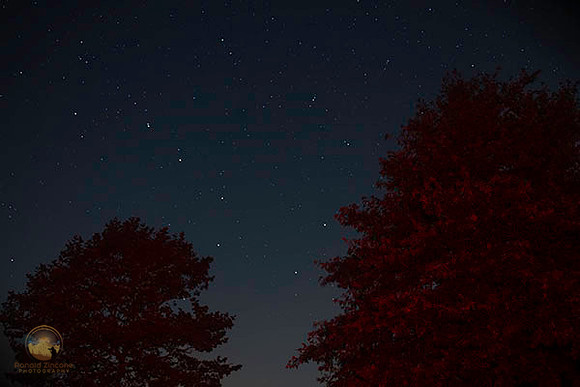 Ursa Major over frosty drew copyright ronaldzinconephotographyrew