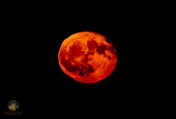 Orange moon illusion over Narragansett  Copyright ronaldzinconephotography