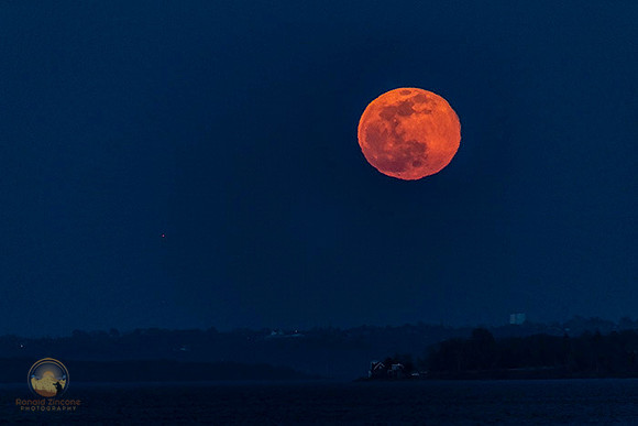 Worm Moon 99.8%  copyright ronaldzinconephotography