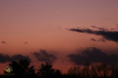 Comet McNaught copyright ronaldzinconephotography