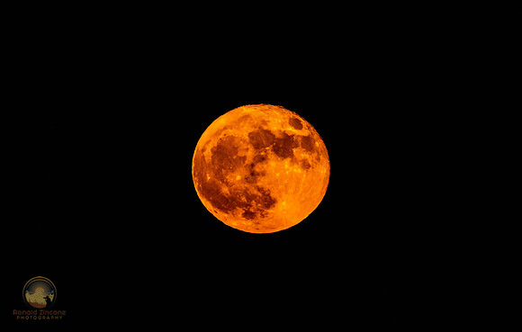 Strawberry Supermoon 2022 SW100 copyright ronaldzinconephotography