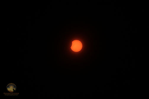 66% Partial solar eclipse over Rhode Island on August 21, 2017 copyright ronaldzinconephotography