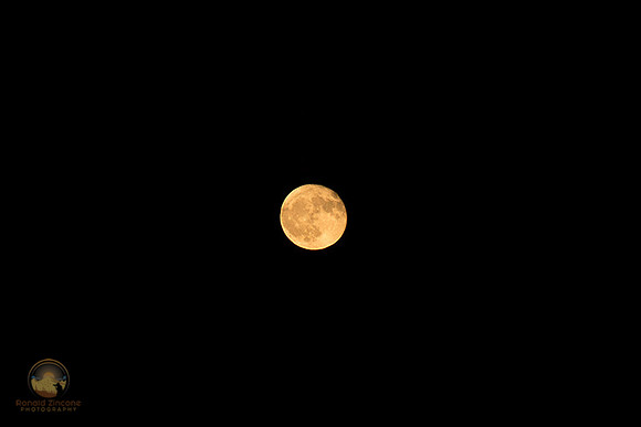98% Gibbous Moon Copyright ronaldzinconephotography