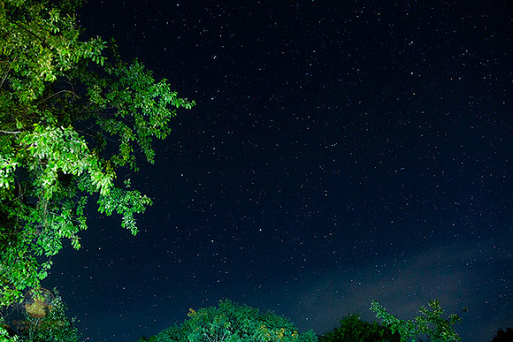 Ursa Major over Trustom Wildlife Refuge copyright ronaldzinconephotography