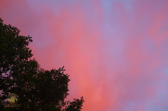 Beautiful light no2 copyright ronaldzinconephotography