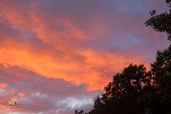 Richmond sunsetcopyright ronaldzinconephotography