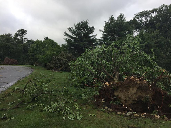 Meteorologist Michael Page says trees were pointed in different directions on the ridge of Ephraims Way in Upton, which makes it a likely spot to have seen a tornado given the elevation and storm path