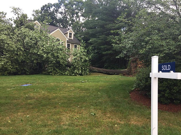 Talk about bad luck: a possible overnight tornado uprooted a tree that damaged a newly sold house in Upton.