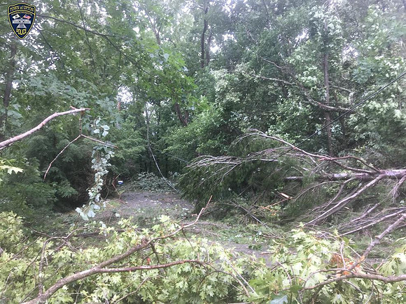 Trees damaged in the overnight storm also downed power lines in addition to damaging property, according to Upton police.