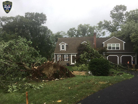 More tree and property damage in Upton
