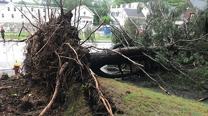 A downed tree following an overnight storm in Upton