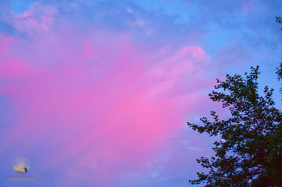 Beautiful light no4 copyright ronaldzinconephotography