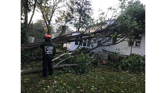 Trees down at Meadow View Boulevard, North Providence, RI