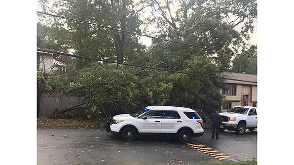 Trees down at Meadow View Boulevard, North Providence, RI