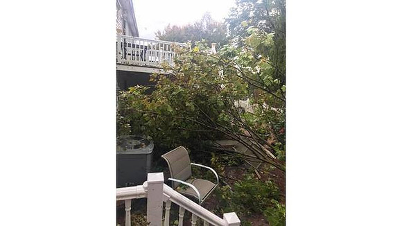Trees down at Meadow View Boulevard, North Providence, RI
