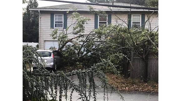 Trees down at Meadow View Boulevard, North Providence, RI
