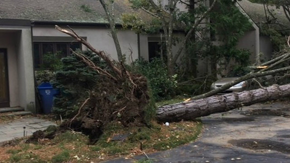 More tree damage in Lincoln, RI