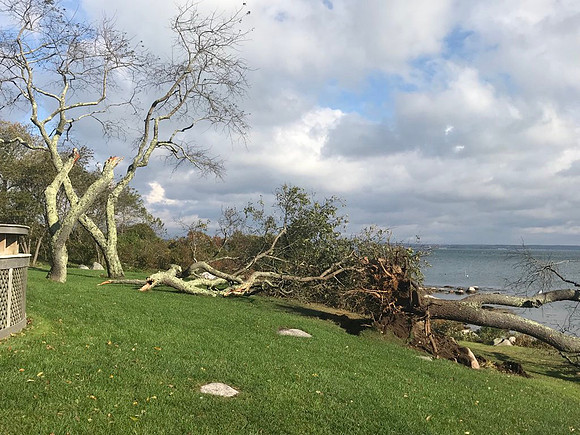 More damage on Fishers Island