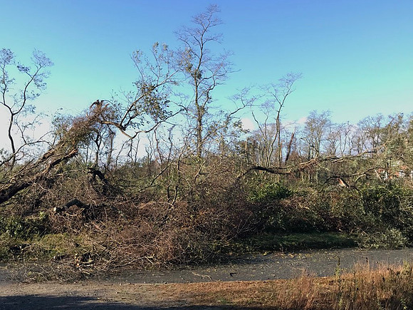 Damage on Fishers Island. Residents report seeing a funnel cloud with debris being carried.