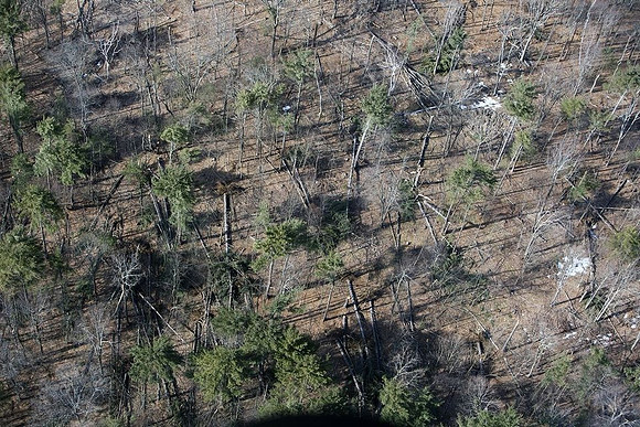 A view of the destruction left after and EF1 tornado ripped through Conway, Massachusetts on Feb. 25, 2017