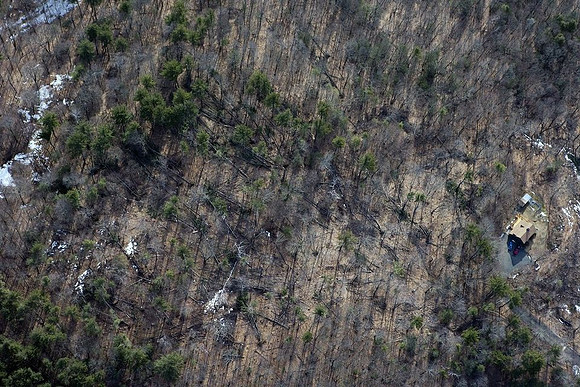 A view of the destruction left after and EF1 tornado ripped through Conway, Massachusetts on Feb. 25, 2017