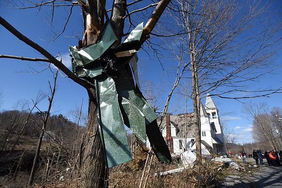 Debris tangled in a tree