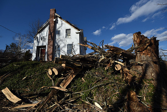 A house on Maple Street is surrounded by trees downed