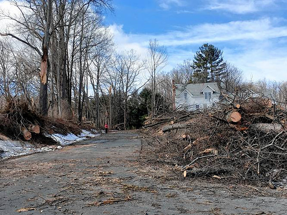 Maple Street in Conway.