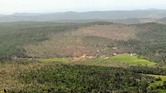 Monson area forest show the path of damaged by the tornado late Wednesday afternoon.