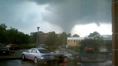 Storm Damage in Springfield, MA