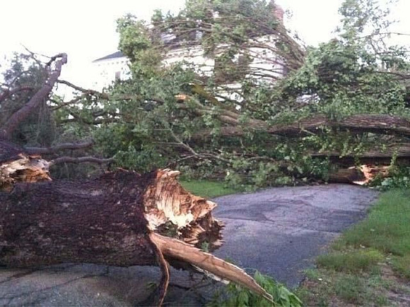 A house covered with downed trees in Monson