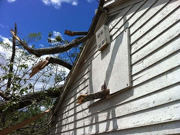 A tree limb impaled into a hoops board