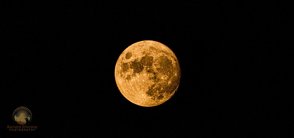 Full Corn Harvest Moon 2021 copyright ronaldzinconephotography