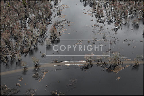 Causeway Street in Medfield was underwater near Route 109.