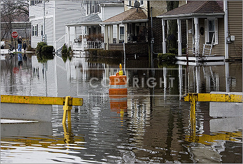 Forest Street in Winchester