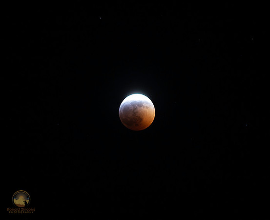 Total Lunar Eclipse Jan 20-21, 2019  copyright ronaldzinconephotography
