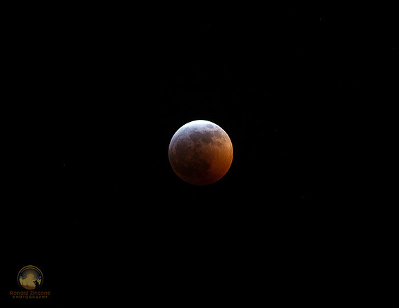 Total Lunar Eclipse Jan 20-21, 2019  copyright ronaldzinconephotography