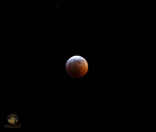 Total Lunar Eclipse Jan 20-21, 2019  copyright ronaldzinconephotography