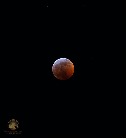 Total Lunar Eclipse Jan 20-21, 2019  "Totality" copyright ronaldzinconephotography