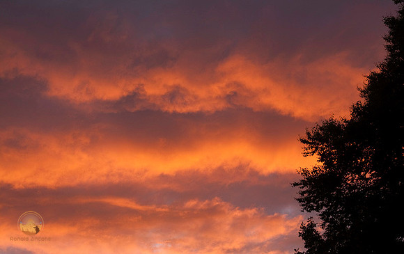 Richmond sunset copyright ronaldzinconephotography