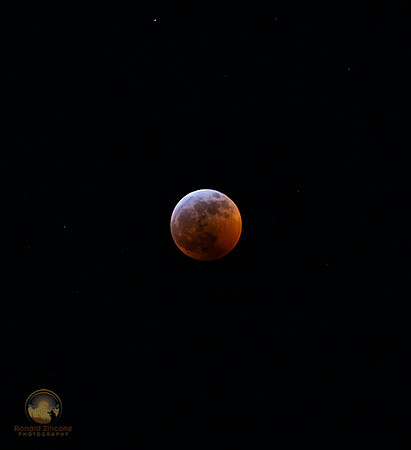 Total Lunar Eclipse January 2019 copyright ronaldzinconephotography