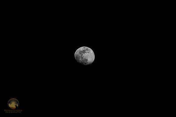 Gibbous Moon at frosty copyright ronaldzinconephotography