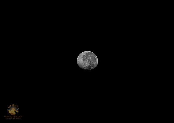 Gibbous moon in daylight copyright ronaldzinconephotography