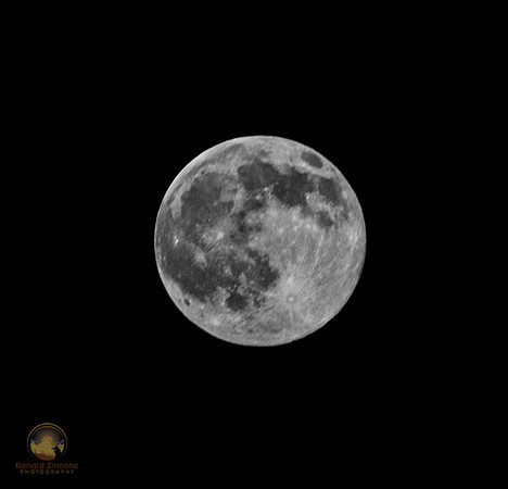 Moon over Dennisport, Massachusetts copyright ronaldzinconephotography