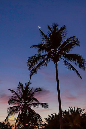 Crescent moon over Aruba copyright ronaldzinconephotography