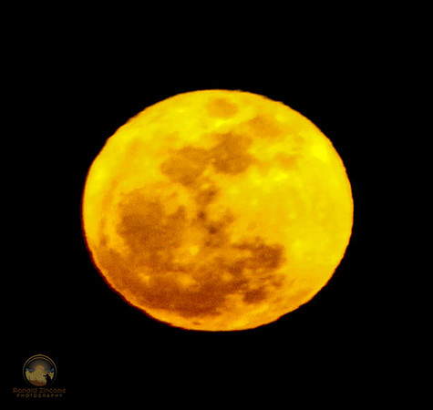 Supermoon at Perigee copyright ronaldzinconephotography