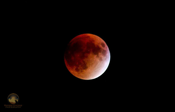 Total Lunar Eclipse 2015 copyright ronaldzinconephotography