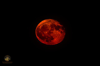 Pumpkin Moon over Narragansett