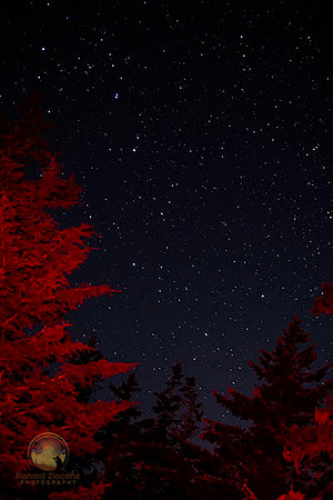 Ursa Major at Seawall Beach, Arcadia, Maine copyright ronaldzinconephotography