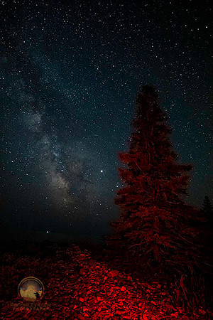 Summer Milky Way and Jupiter over Seawall Beach, Arcadia, Maine copyright ronaldzinconephotography